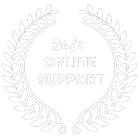 24/7 Online Support